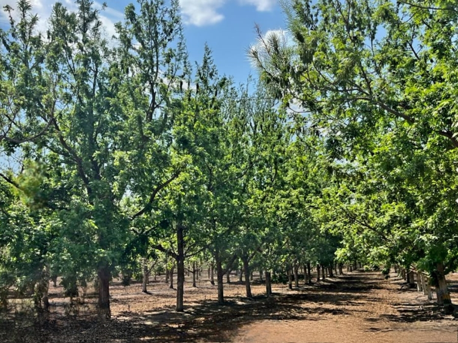 Commercial Property for Sale in Kimberley Rural Northern Cape